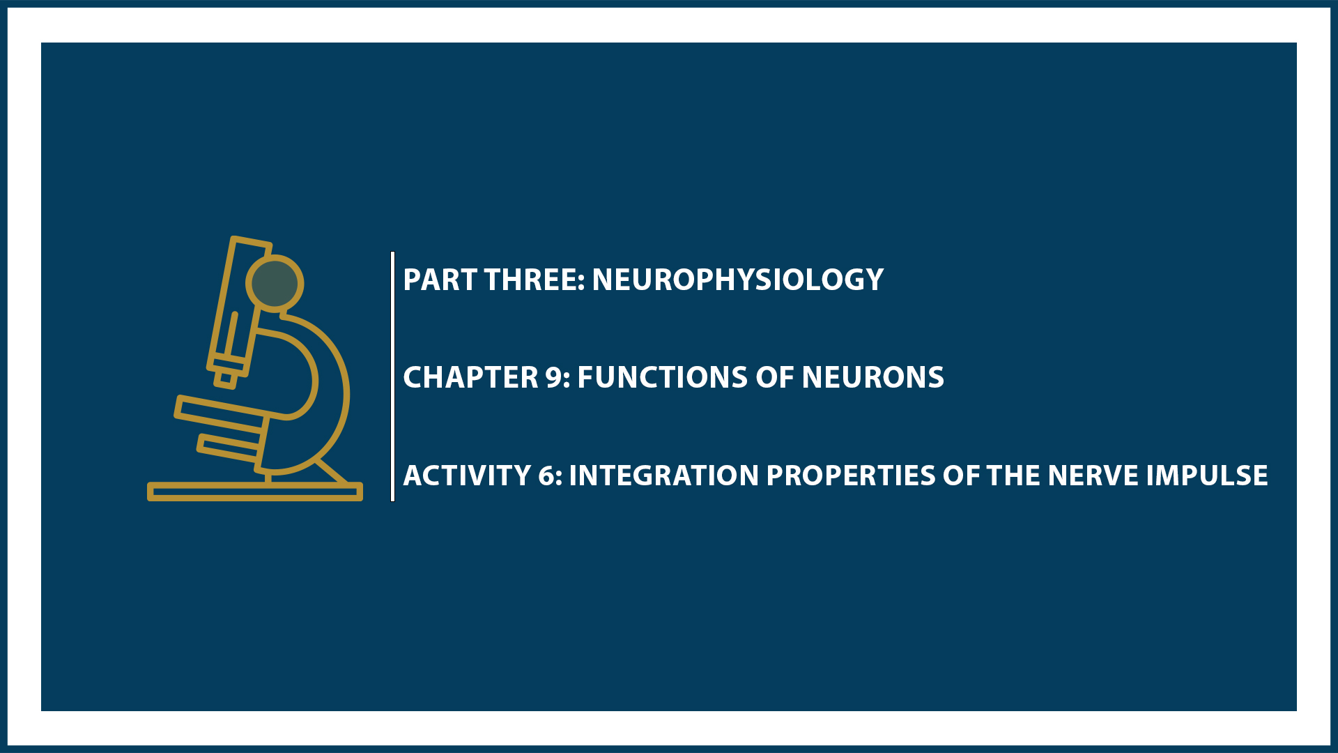 Unit Three: (Suspended part) Chapter 9 - Document 6: Integration properties of the nerve impulse